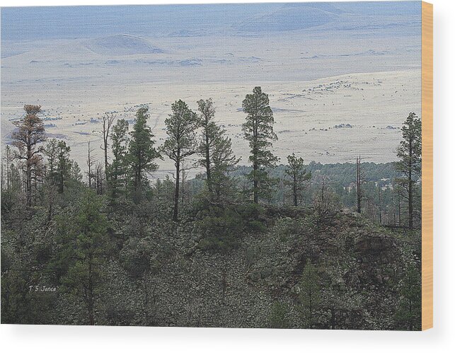 White Mountains Forest Arizona Wood Print featuring the digital art White Mountains Forest Arizona by Tom Janca