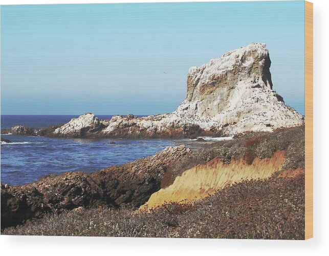  Point Piedras Blancas Wood Print featuring the photograph The White Rocks of Piedras Blancas by Art Block Collections