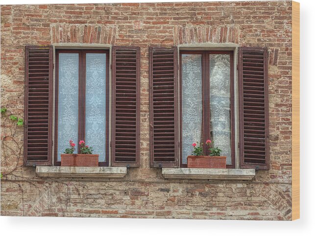 Tuscany Wood Print featuring the photograph Window Flowers of Tuscany by David Letts