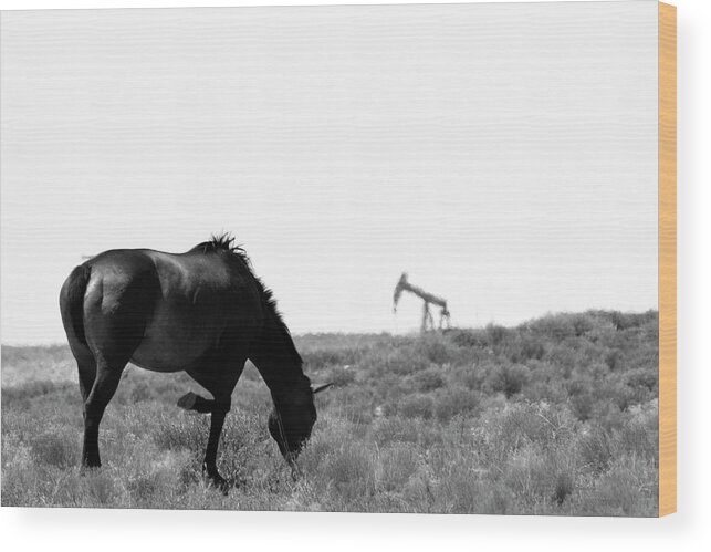 Horse Wood Print featuring the photograph Wild Horse at Aneth by Jonathan Thompson