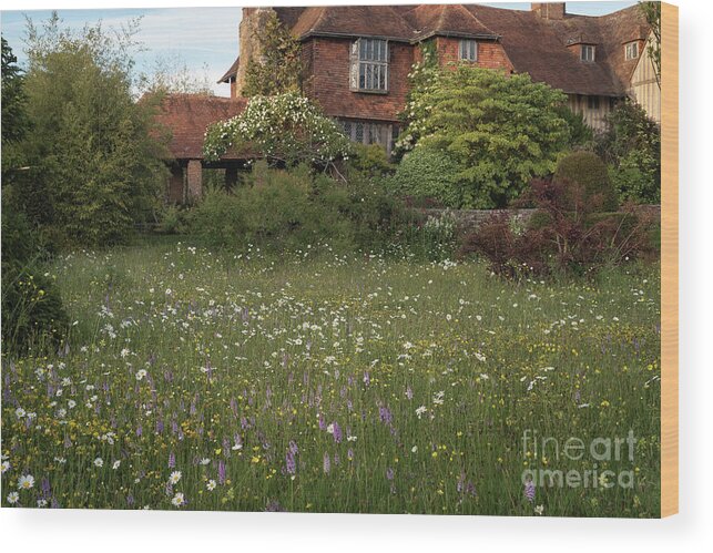 Wildflower Wood Print featuring the photograph Wildflower Meadow, Great Dixter by Perry Rodriguez