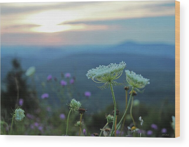 Wildflower Sunset Wood Print featuring the photograph Wildflower Sunset by Linda Sannuti