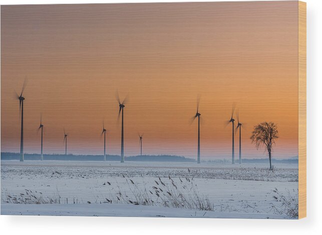 Wind Wood Print featuring the photograph Wind Turbines An A Lonely Tree by Patrick Dessureault
