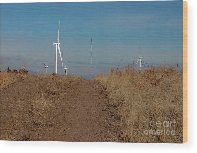 Landscape Wood Print featuring the photograph Wind Turbines At Research Centre by Jim West/science Photo Library