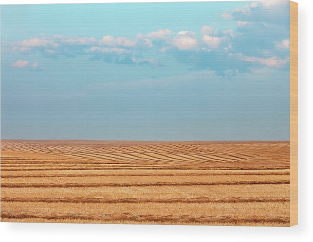 Windrows Wood Print featuring the photograph Windy Rows by Todd Klassy