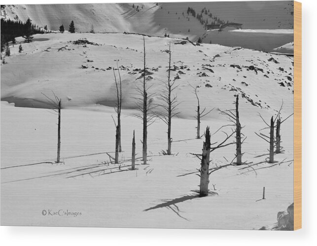 Black And White Wood Print featuring the photograph Winter at Quake Lake by Kae Cheatham