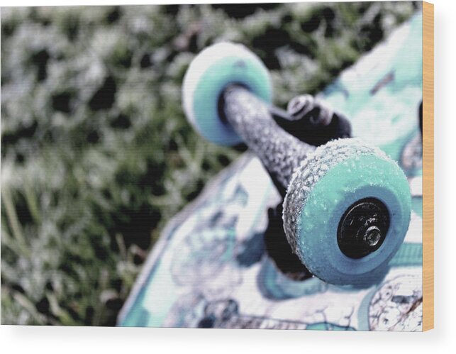 Skateboard Wood Print featuring the photograph Winter Blues by Elizabeth Anne