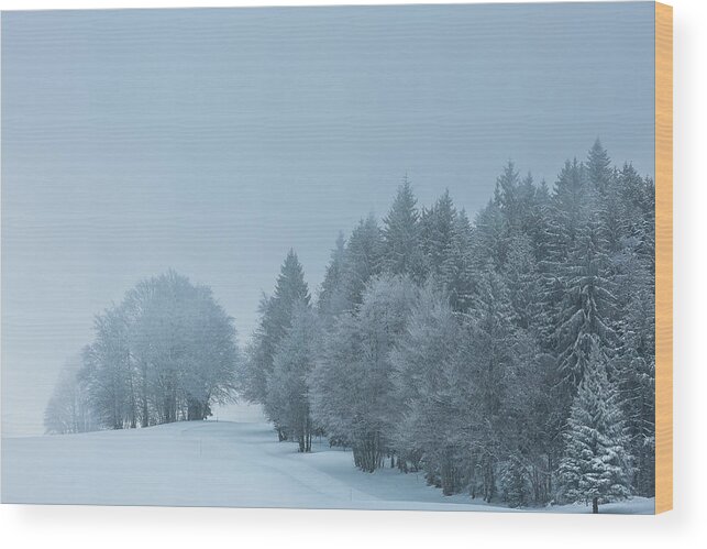 Snowy Landscape Wood Print featuring the photograph Winter dreams - 1 by Paul MAURICE