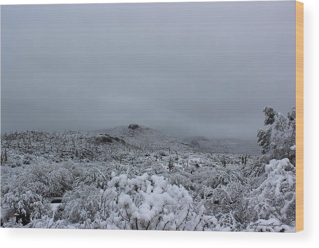 Winter Wood Print featuring the photograph Winter in Arizona No.6 by Kume Bryant