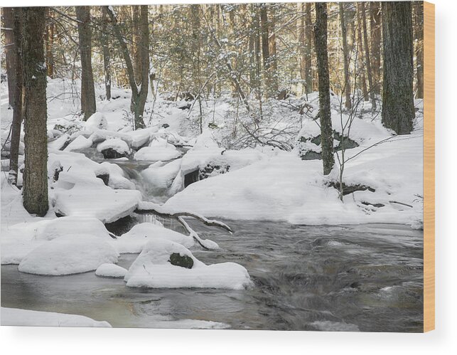 Winter Snow Ice Freezing Cold Outside Outdoors Nature River Stream Brook Trout Conservation Jefferson Ma Mass Massachusetts Brian Hale Brianhalephoto New England Newengland Usa U.s.a. Wood Print featuring the photograph Winter Scenery by Brian Hale