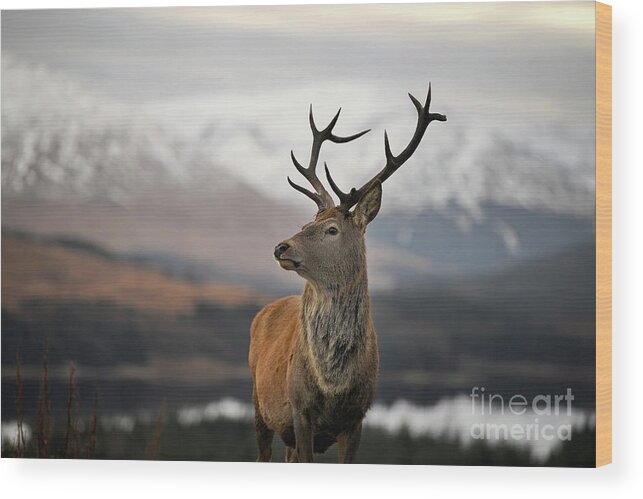 Fort William Wood Print featuring the photograph Winter Scenes In Glen Coe by Jeff J Mitchell