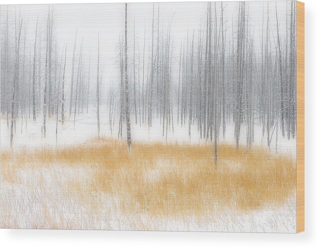 Panorama Wood Print featuring the photograph Winter Serenity by Yy Db