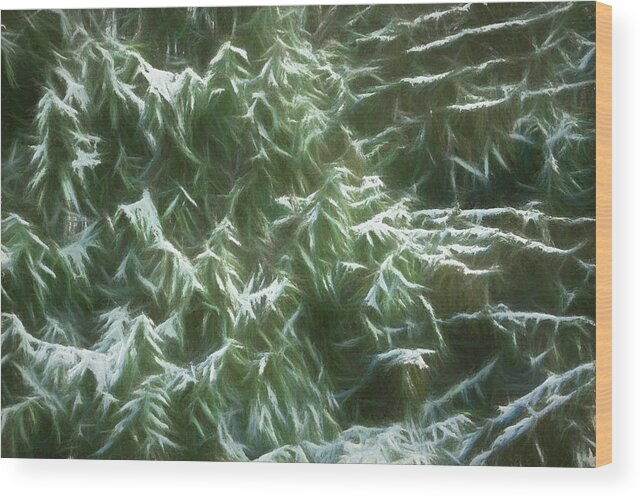 Winter Wood Print featuring the digital art Winter Snow on Pines by Jason Fink