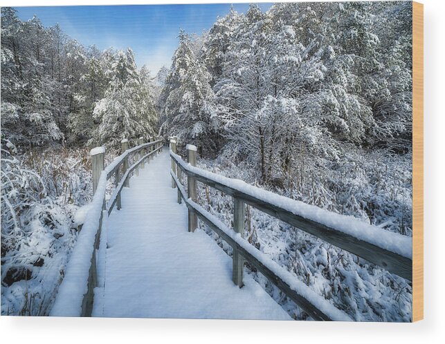 Boardwalk Wood Print featuring the photograph Winter Wonderland by Brad Bellisle