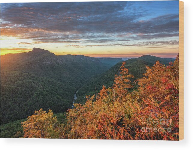 Linville Gorge Wood Print featuring the photograph Wiseman's View by Anthony Heflin