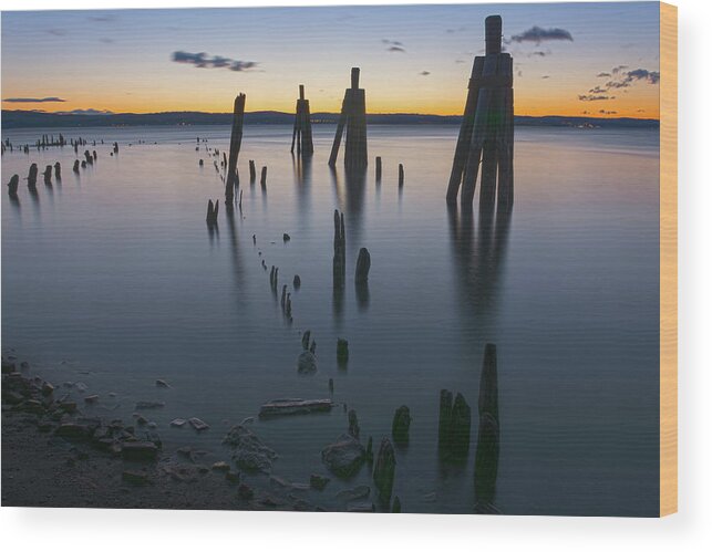 Emeline Park Wood Print featuring the photograph Wooden Soldiers of the Hudson by Angelo Marcialis