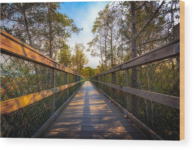Wood Wood Print featuring the photograph Wooden Walking Path by Mike Whalen