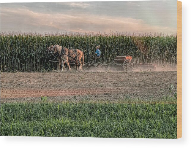 Amish Wood Print featuring the photograph Working The Corn by Ed Esposito