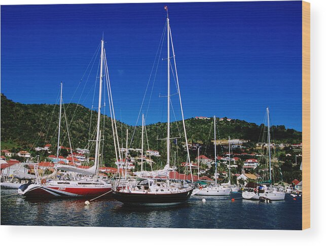 Grass Wood Print featuring the photograph Yachts At Gustavia Marina by Holger Leue