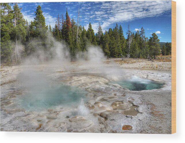 Geology Wood Print featuring the photograph Yellowstone Geyser by Dbushue Photography