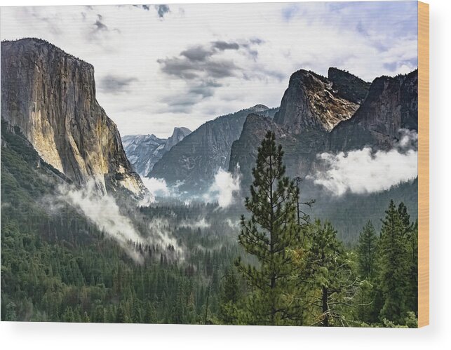 Skyline Wood Print featuring the photograph Yosemite Valley 7 by Silvia Marcoschamer