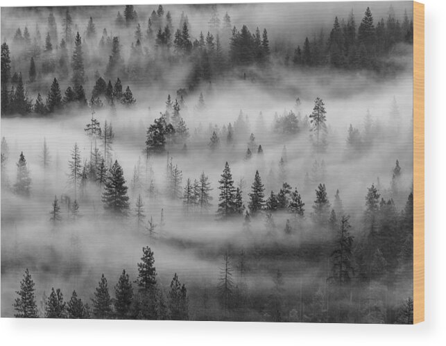 Black And White Wood Print featuring the photograph Yosemite Valley Fog by Rand Ningali