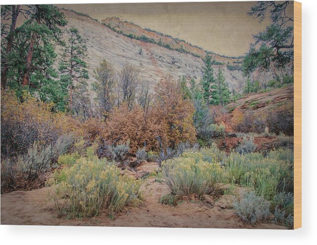 Zion Wood Print featuring the photograph Zions Garden by Jim Cook