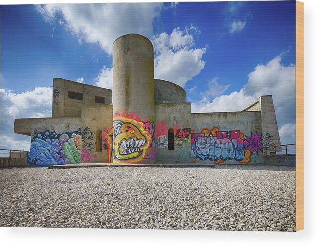 Leica M9 Wood Print featuring the photograph Abandoned Hotel Jerusalem #1 by Eugene Nikiforov