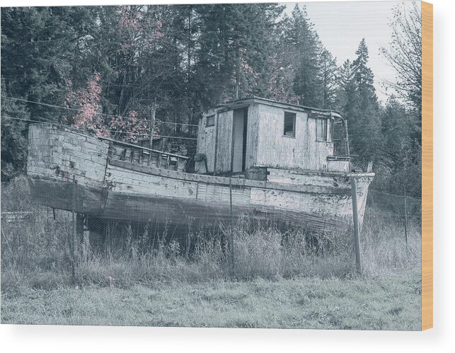 Weathered Boat Wood Print featuring the photograph Abandoned Relic Boat 2121 by Cathy Anderson