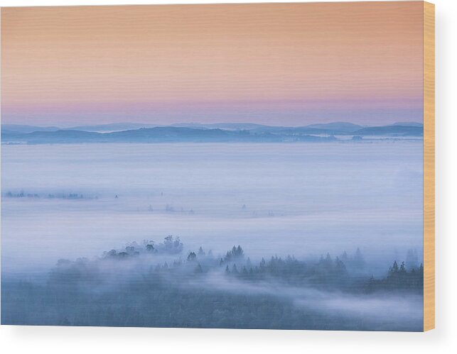 Nature Wood Print featuring the photograph Above the Fog #1 by Shelby Erickson