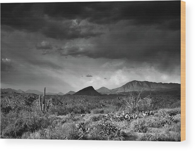 Arizona Wood Print featuring the photograph Arizona Desert Black and White #1 by Chance Kafka