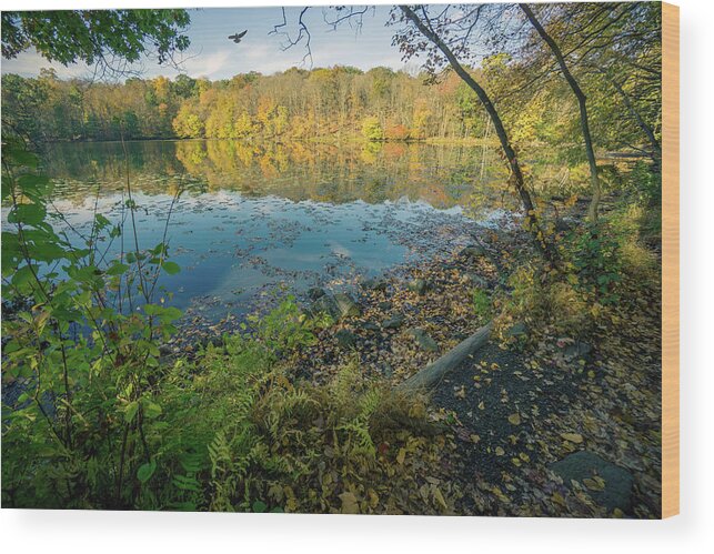 Nature Wood Print featuring the photograph Autumn View #1 by June Marie Sobrito