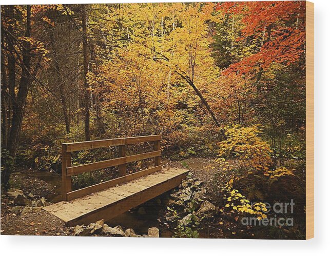 Landscape Wood Print featuring the photograph Bridge to Autumn #1 by Larry Ricker