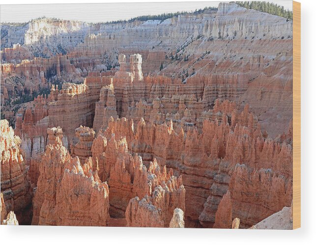 Wood Print featuring the photograph Bryce Canyon National Park - Sunset Point #2 by Richard Krebs