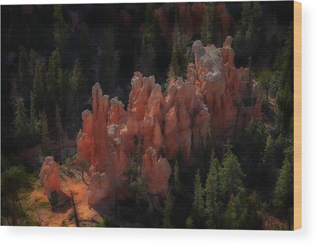 Photograph Wood Print featuring the photograph Bryce Canyon, Utah #2 by John A Rodriguez