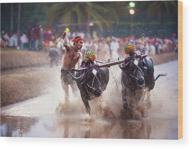 Kambala Wood Print featuring the photograph Buffalo Race #2 by Nila Newsom