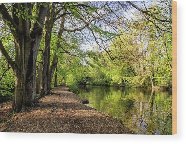 Bridge Wood Print featuring the photograph Canal Seasons Spring #1 by Shirley Mitchell