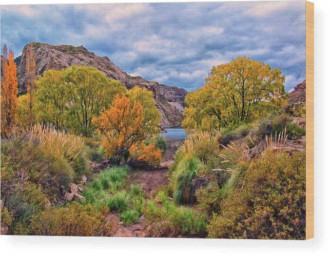 Landscape Wood Print featuring the photograph Canyon Atuel #1 by Robert McKinstry