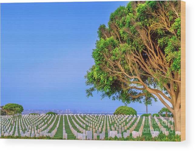 Cemetery Wood Print featuring the photograph Cemetery with San Diego skyline #1 by Benny Marty