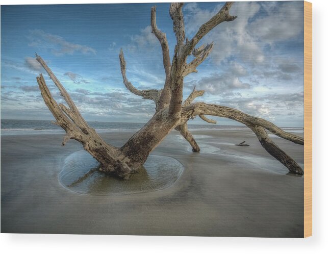 Beach Wood Print featuring the photograph Driftwood Beach #1 by Carolyn Hutchins