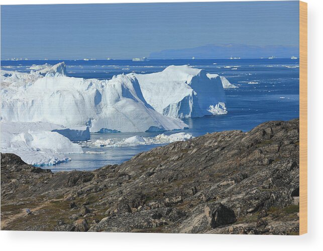 Scenics Wood Print featuring the photograph Elevated view from rocky terrain at huge icebergs #1 by Rainer Grosskopf
