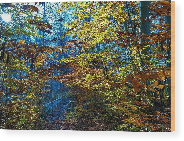  Wood Print featuring the photograph Hidden Bridge by Brad Nellis