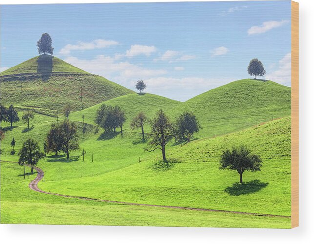 Linden Wood Print featuring the photograph Hirzel - Switzerland #1 by Joana Kruse