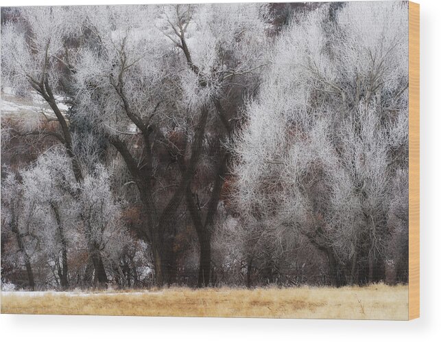 Co Wood Print featuring the photograph Hoar Frost #2 by Doug Wittrock