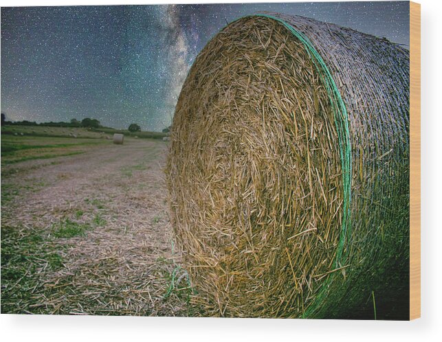 Star Wood Print featuring the photograph In the fields #1 by Martin Newman