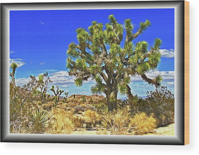 Joshua Wood Print featuring the photograph Joshua Tree #1 by Richard Risely