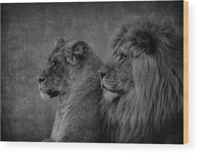 Lion Wood Print featuring the digital art Lion And Lioness Portrait #1 by Marjolein Van Middelkoop