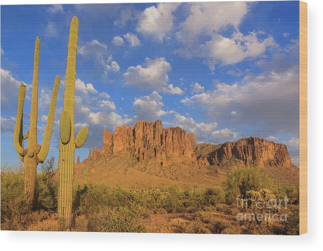 Apache Junction Wood Print featuring the photograph Lost Dutchman State Park, Arizona #1 by Henk Meijer Photography