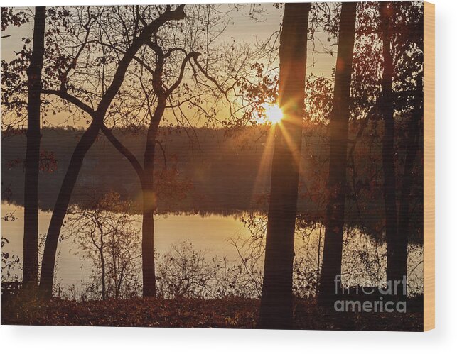 Rural Wood Print featuring the photograph Michigan Sunrise #1 by Jim West
