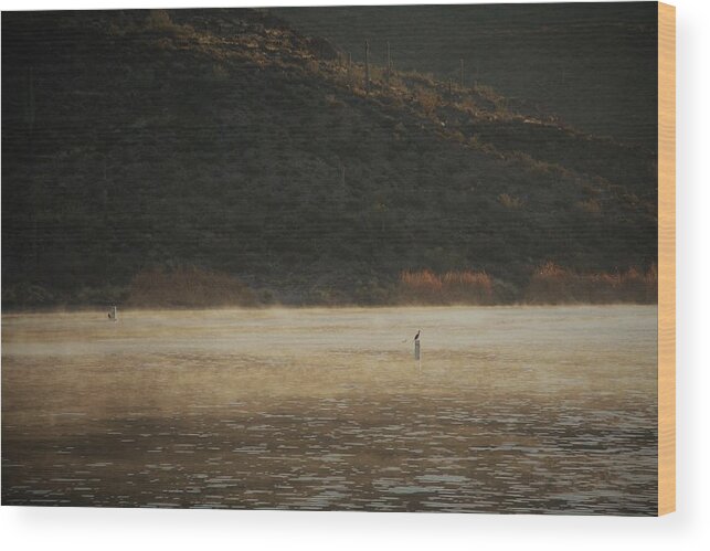 Lake Wood Print featuring the photograph Morning #1 by David S Reynolds